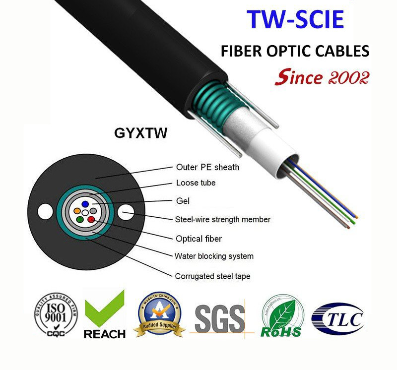 Telecommunication cable of Armored Fiber Optic Cable Sm 2-12 core for Outdoor Using