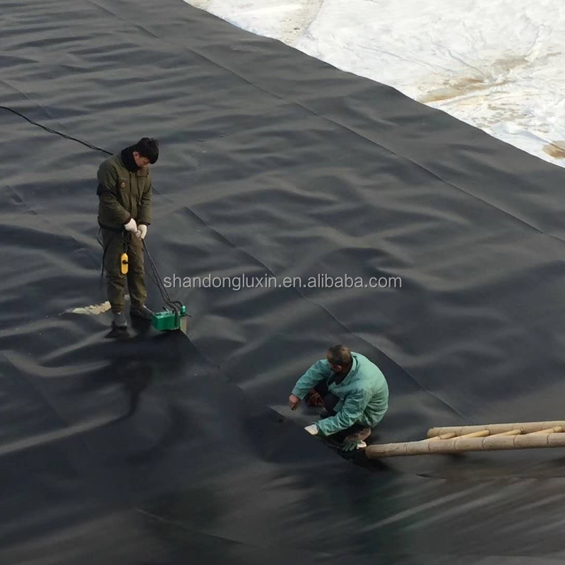 Modern Design HDPE Geomembrane for Landfill Sites Sewage Treatment Plants Fish Ponds