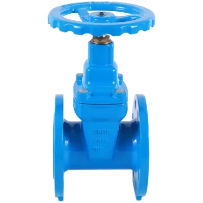 Y Type Customizable Inside Screw Stem Soft Seal Gate Valve with Stainless Steel Flange