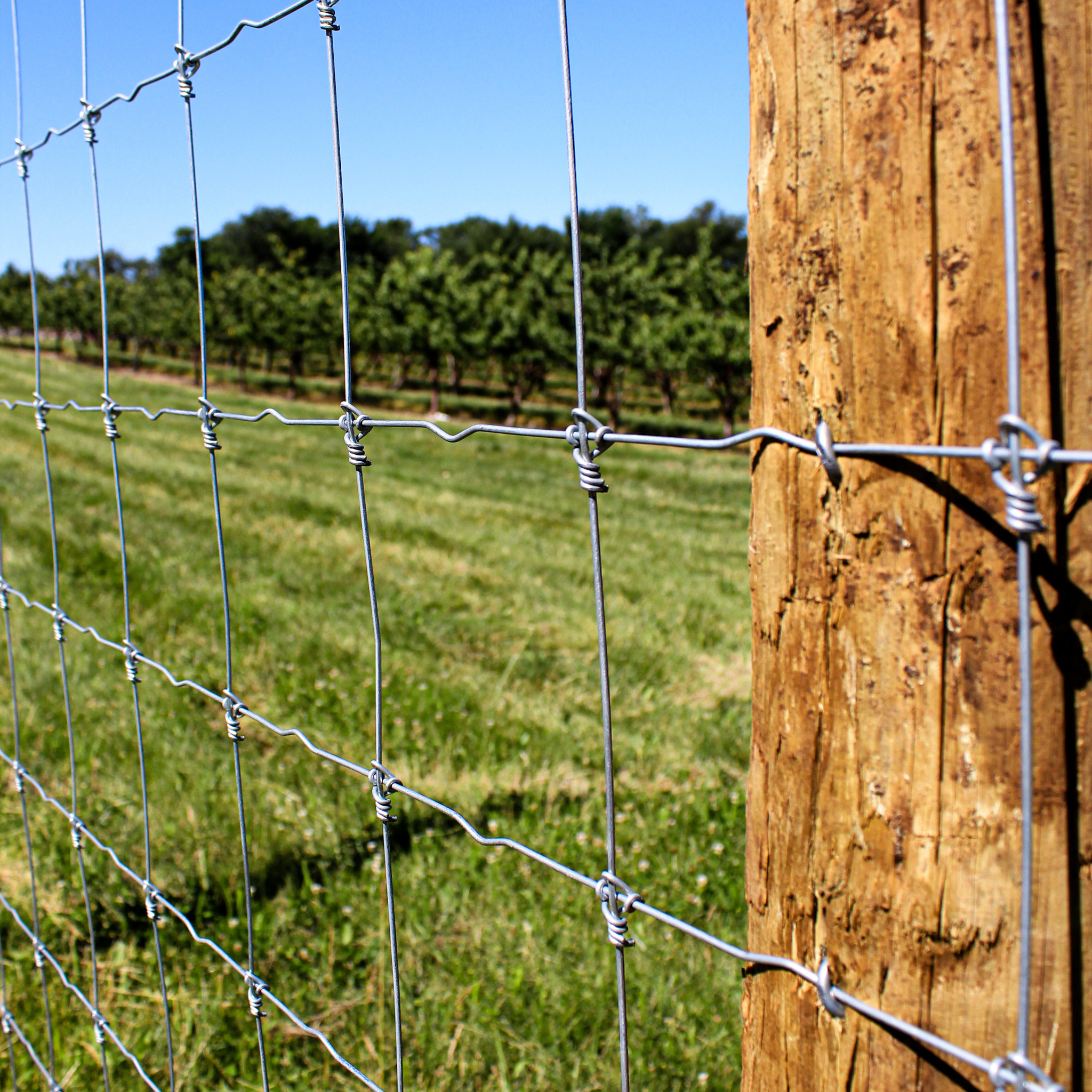 Hot Dip Galvanized Deer Fixed Knot Fence 4ft 5ft 6ft 7ft 8ft