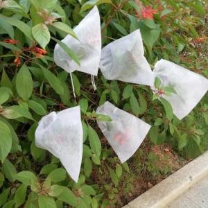 China Agriculture Plant Protection Bag PP Nonwoven Spunbond Fabric Degradable wholesale