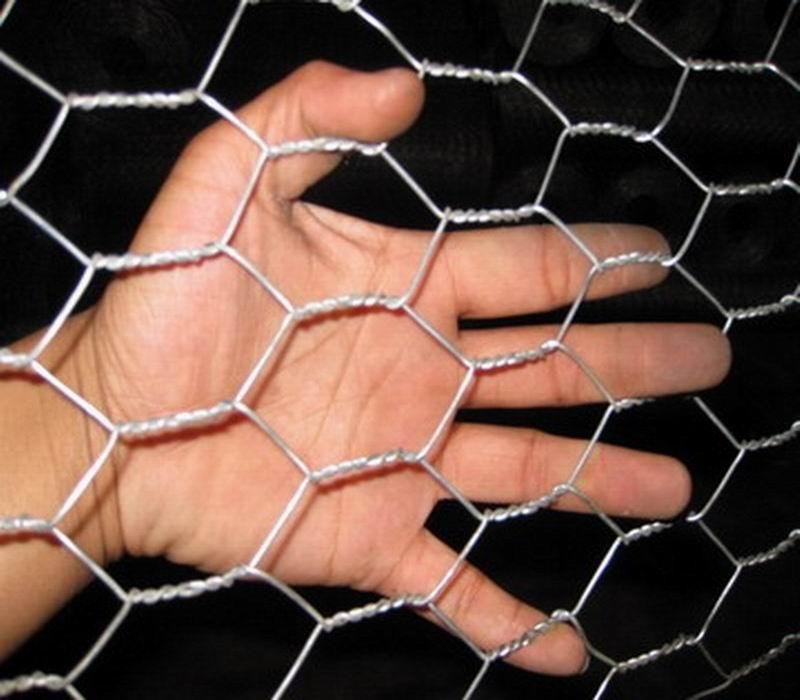 Galvanized Hexagonal Wire Mesh Chicken Wire Mesh Twill Weave For Farm Fence