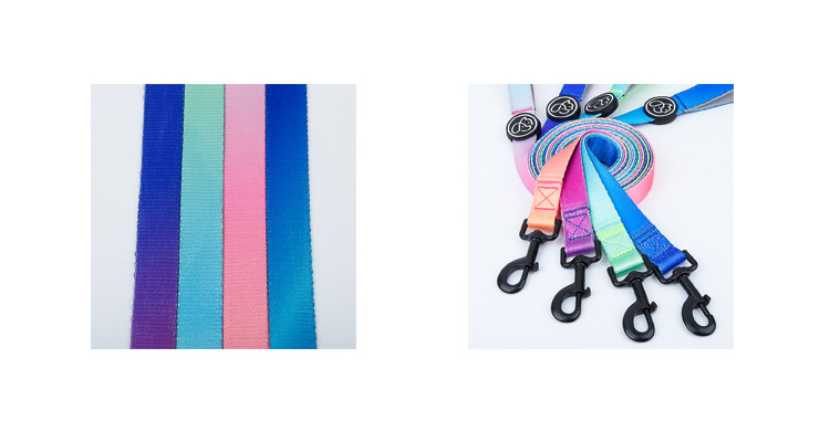 Gradient Pet Collars Leashes Set 150Cm Chain Length Seat Belt Buckle Dog Collar