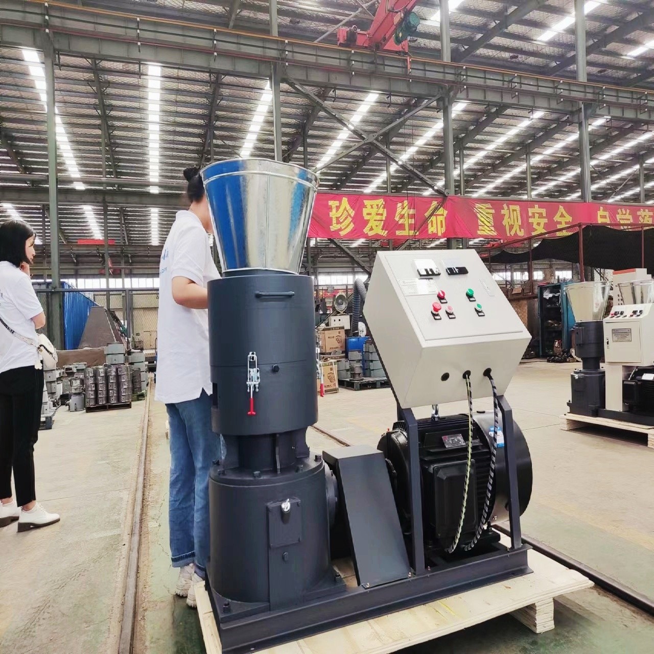 New Arrival 250-400kg/h Wood Pellet Output High Efficiency Wood Pellet Machine