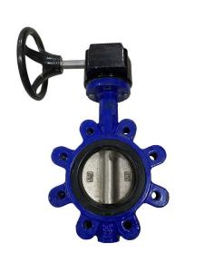 China Industrial Ductile Iron Butterfly Valve Gear Operated DIN3202 wholesale