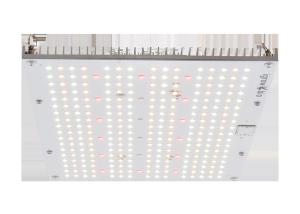 China High PPFD IP65 5000lm Quantum Grow Lights wholesale