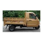 Affordable Gasoline Three Wheel Van Cargo Motorcycle Tricycle Bike Grade Ability