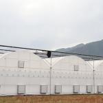 Farm Multi-span Tunnel Greenhouse Plastic Film For Agriculture