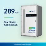 289kWh Liquid Cooled Commercial Battery Storage Systems , Energy Storage Cabinet