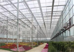China Fish Farming Low Cost Greenhouse , Modular Glass Greenhouse Long Lifetime wholesale