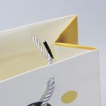 Pantone Printed Gift Paper Carrier Bags With Nylon Handles UV Coating
