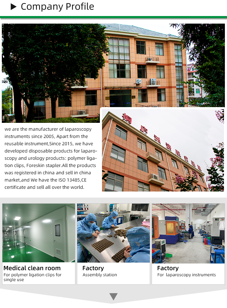 Customized Logo Accepted MeBipolar Laparoscopic Instrument LAP Instruments for Fast Delivery