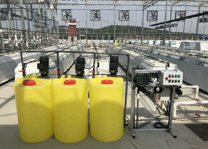 24 X 24 24 X 18 20x30 Venlo Custom Glass Greenhouse Cover Sides Polycarbonate Sheet Roof Covering For Tomatoes