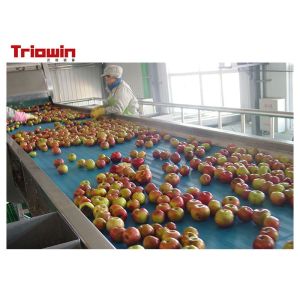 Complete Fruit And Vegetable Processing Line / Apple Processing Machine 220/380V