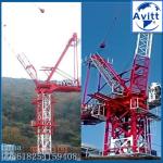 Mast Crane QTD230-5520 Model Luffing Jib Crane Tower 18t Load 51m Height