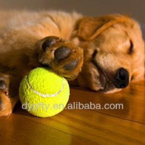 China variety of colors tennis ball wholesale