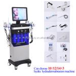 Vertical Professional Hydrafacial Machine Deep Cleaning 14+3 Hydration Facial
