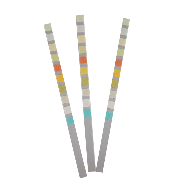 Laboratory Reagent Urine Test Strips 10 Parameters 99% Accuracy