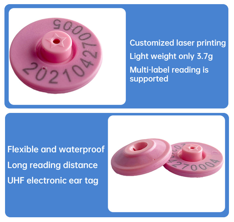 UHF Rfid Animal Ear Tag Pig Management 960MHz Anti Collision