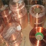 Excellent Corrosion Resistance 1200.C Melting Point Copper Nickel Wire for