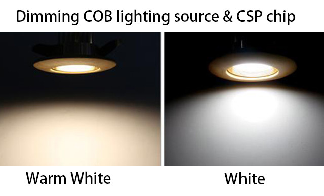 CCT Dimmable Hotel Spotlight CXB1830 18W Chips On Board Led