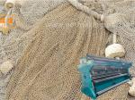 5mm To 8mm Trinidad Polyethylene Agriculture Nets Manufacturing Machine