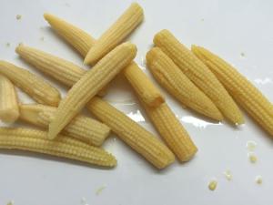 China Whole Canned Young Corn , Baby Corn In Brine Tender And Flavorful Tasty wholesale