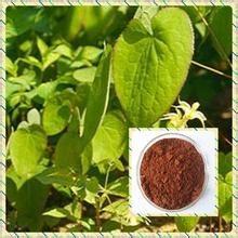 China Epimedium PE Icariin 10% wholesale