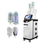 Cryolipolyse EMS Machine 360 Cryo Fat Freezing Cellulite Removal