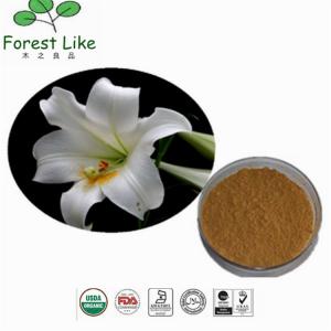 China Pure Natural Lily Extract Powder 10:1 wholesale