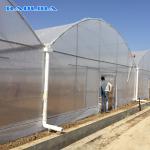 Plants Growing Automatic Plastic Film Humidity Control Side Ventilation Multi