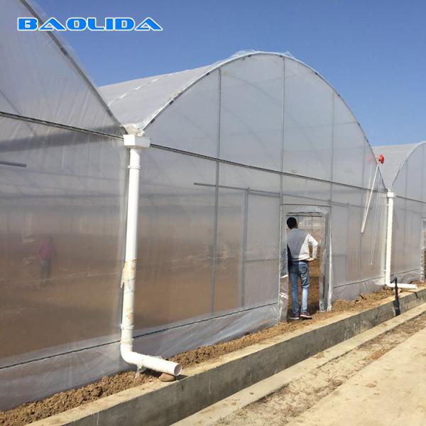 Wind Resistant Agriculture Plants Growing Hydroponic System Poly Film Multi Span