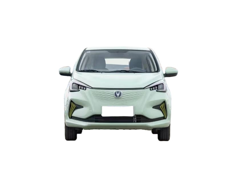 Green Color Mini EV Cars Changan Benben Ev 300KM Max Speed 101 Km/H
