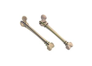 China Antirotation PNFA Implanted Titanium Proximal Femoral Nail wholesale
