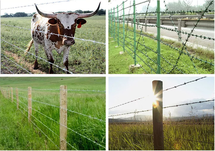 Multi Color Corrosion Resistant Barbed Wire Mesh Custom Length 7.5cm-15cm Barb Spacing