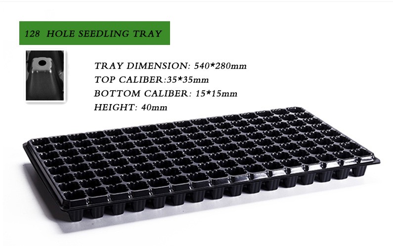 105 Holes Rectangular Polystyrene Seed Raising Tray Deep Cell Plug Trays 540X280mm