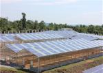 Single Span Greenhouse Solar System Agriculture Plant Warm House Metallic