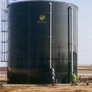 China Biogas Methane Production Biogas Plant Installation wholesale