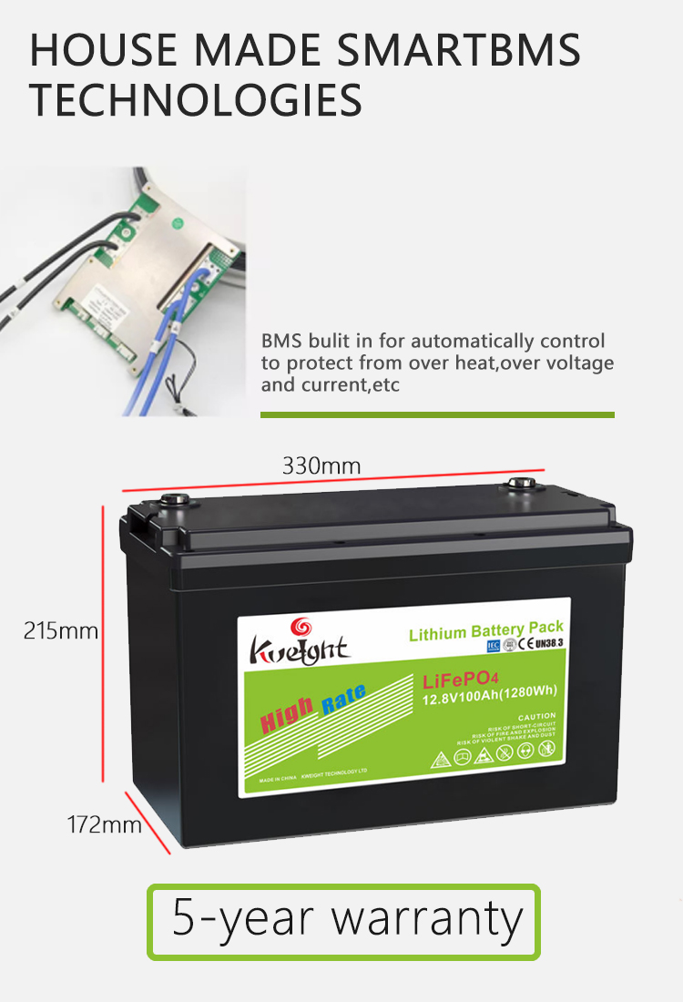 12v 100ah Battery Lifepo4 Battery Pack Lithium Cell Lifepo4 Batteries