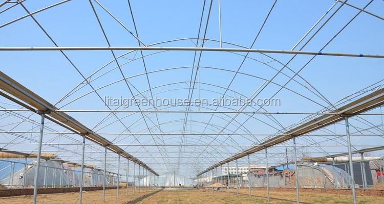 Namibia Africa Gutter Connected Greenhouse with Optimal Ventilation and Single Layer