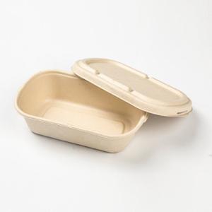 China ISO Biodegradable Bagasse Fast Food Packaging Box 198*115*35mm wholesale