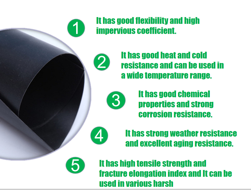 Waterproof HDPE Geomembrane Liners for Fish Pond Projects Long Service Life Guaranteed