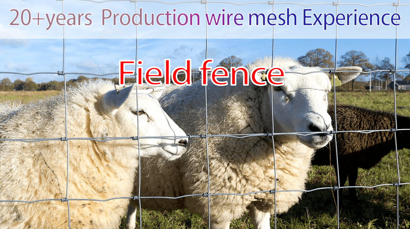 Goat Farm Fence Hot Dipped Galvanized Hinge Joint Knot Field Fence