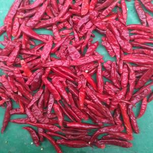China 1.5cm Premium Red Chilli Ring Package 1-20KG/CTN Seeds 0-35% wholesale