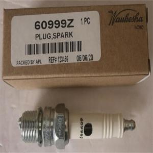 China Waukesha Sparking Plug 60999Z wholesale