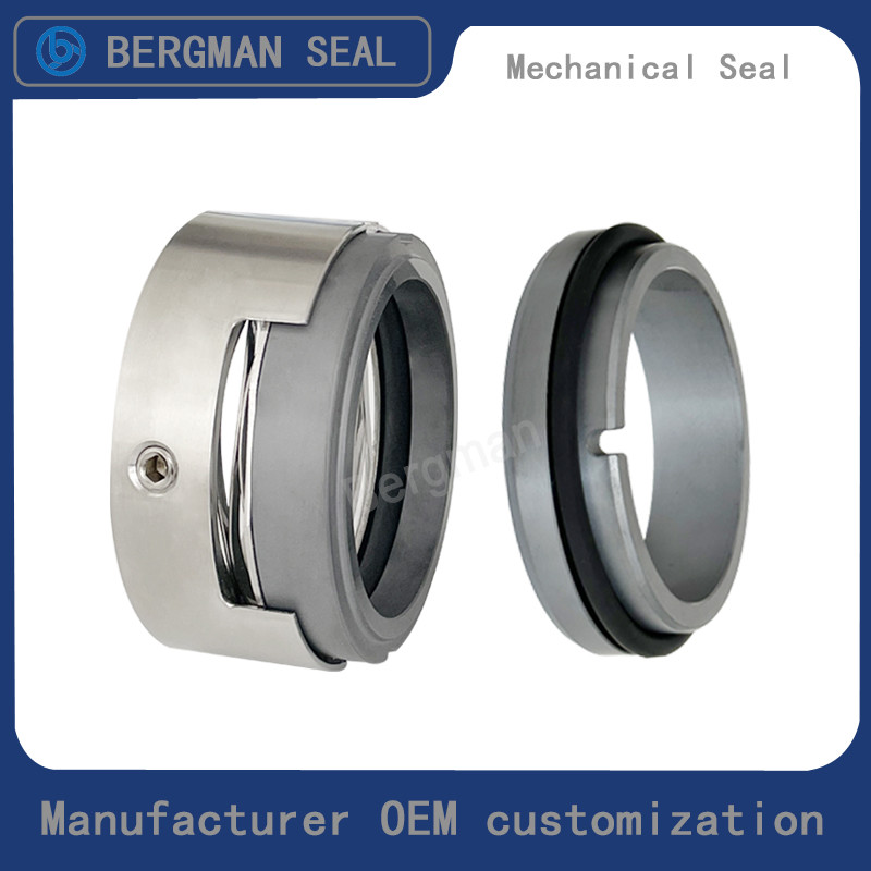 H7N H74 25mm-100mm G60 G4 G6 G9 G13 G16 BS Bo BP Pump Mechanical Seal