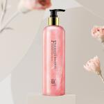 GMPC Anti Dandruff Shampoo Anti Oil Control Natural Plant