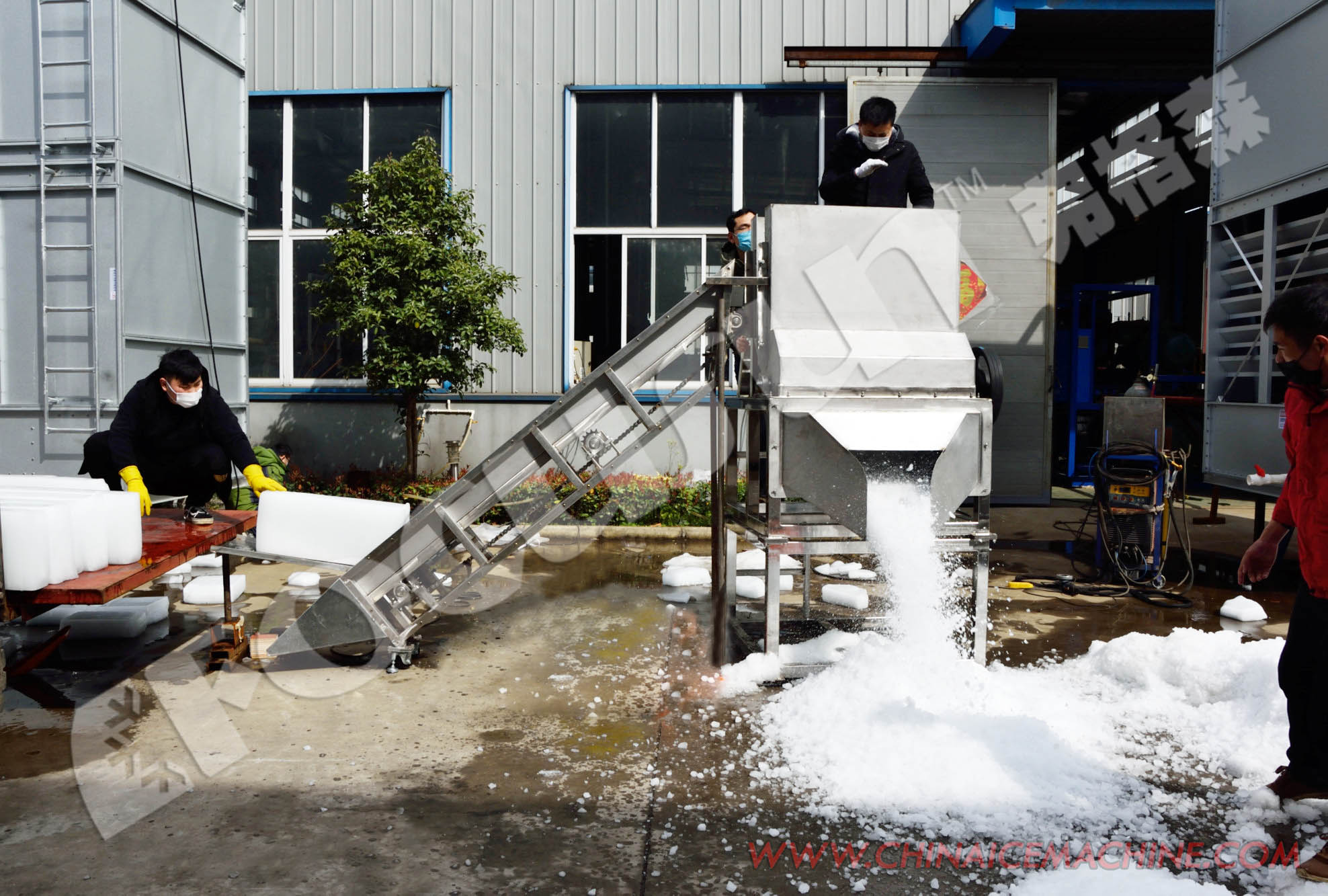 Heavy-Duty Stainless Steel Tube/Block Ice Crusher Machine with 650mL Container Volume