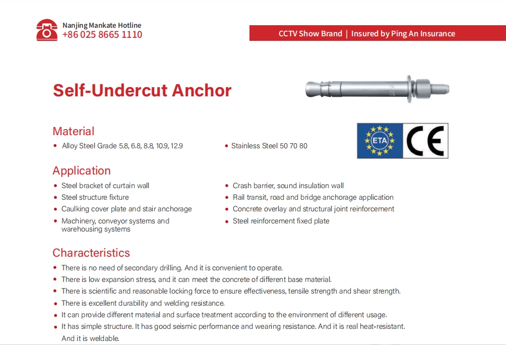Acrylic Reinforcement Self Undercut Anchor Bolts with High Tension and ETA Approval