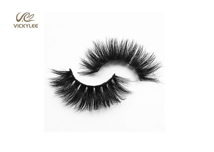 Long Lasting Full Strips 17mm Natural False Eyelashes
